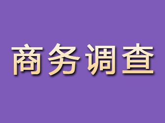 邢台县商务调查